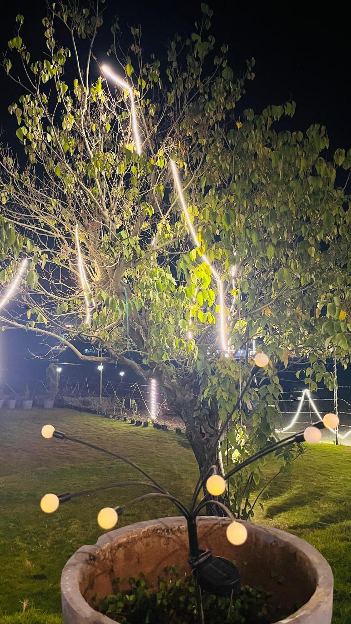 Aroma Resort リシケーシュ エクステリア 写真